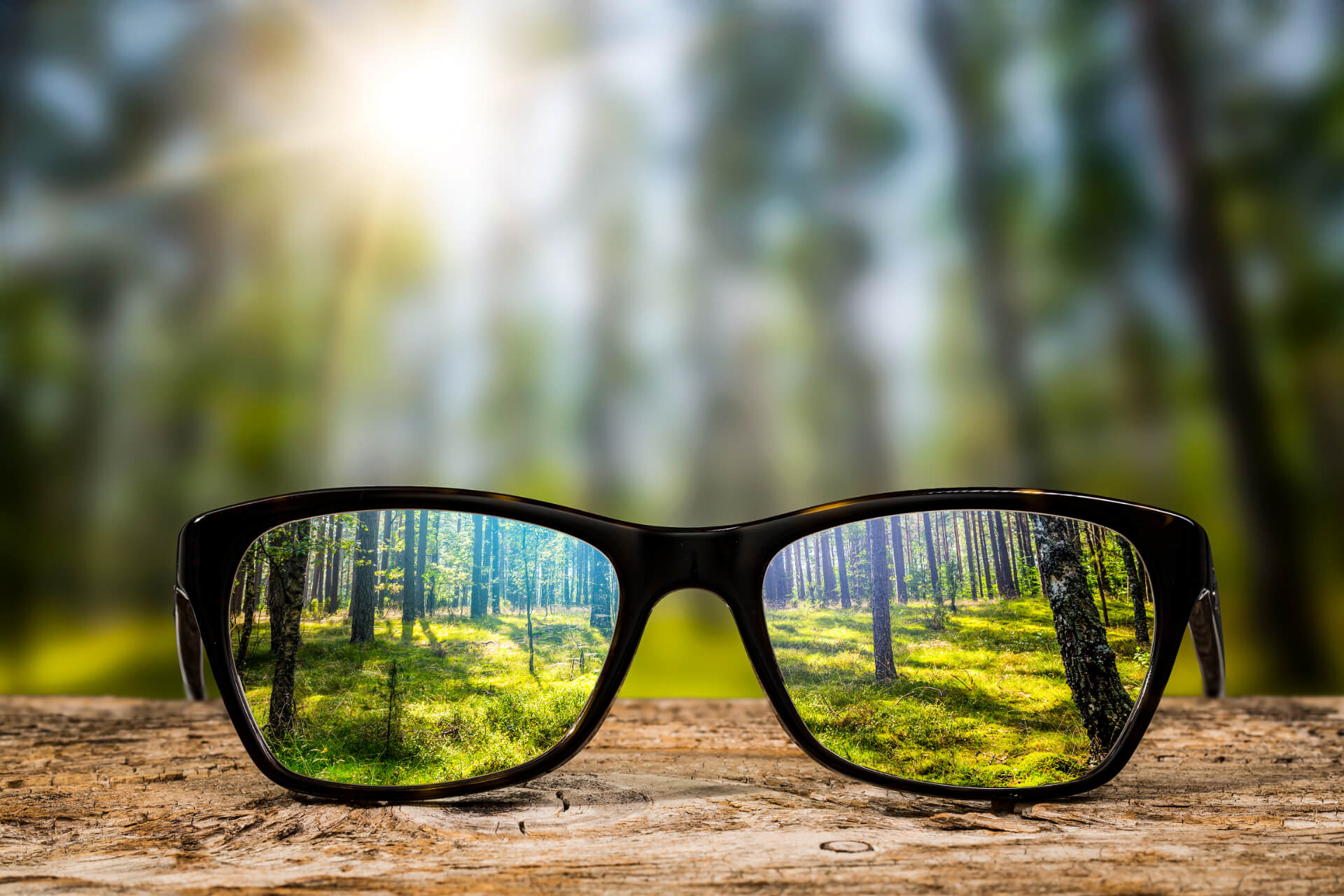 Glasses lens showing a sharp foreground with a blurred background