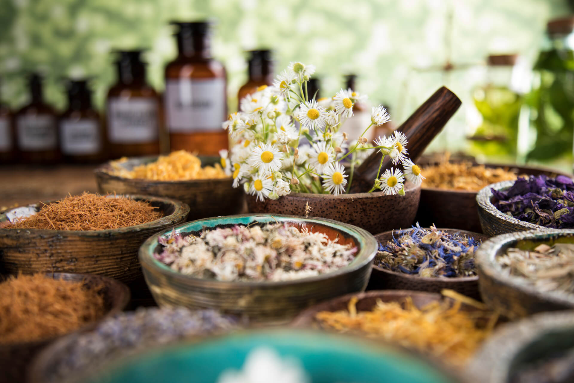 Plants in a mortar and pestle used as medicine