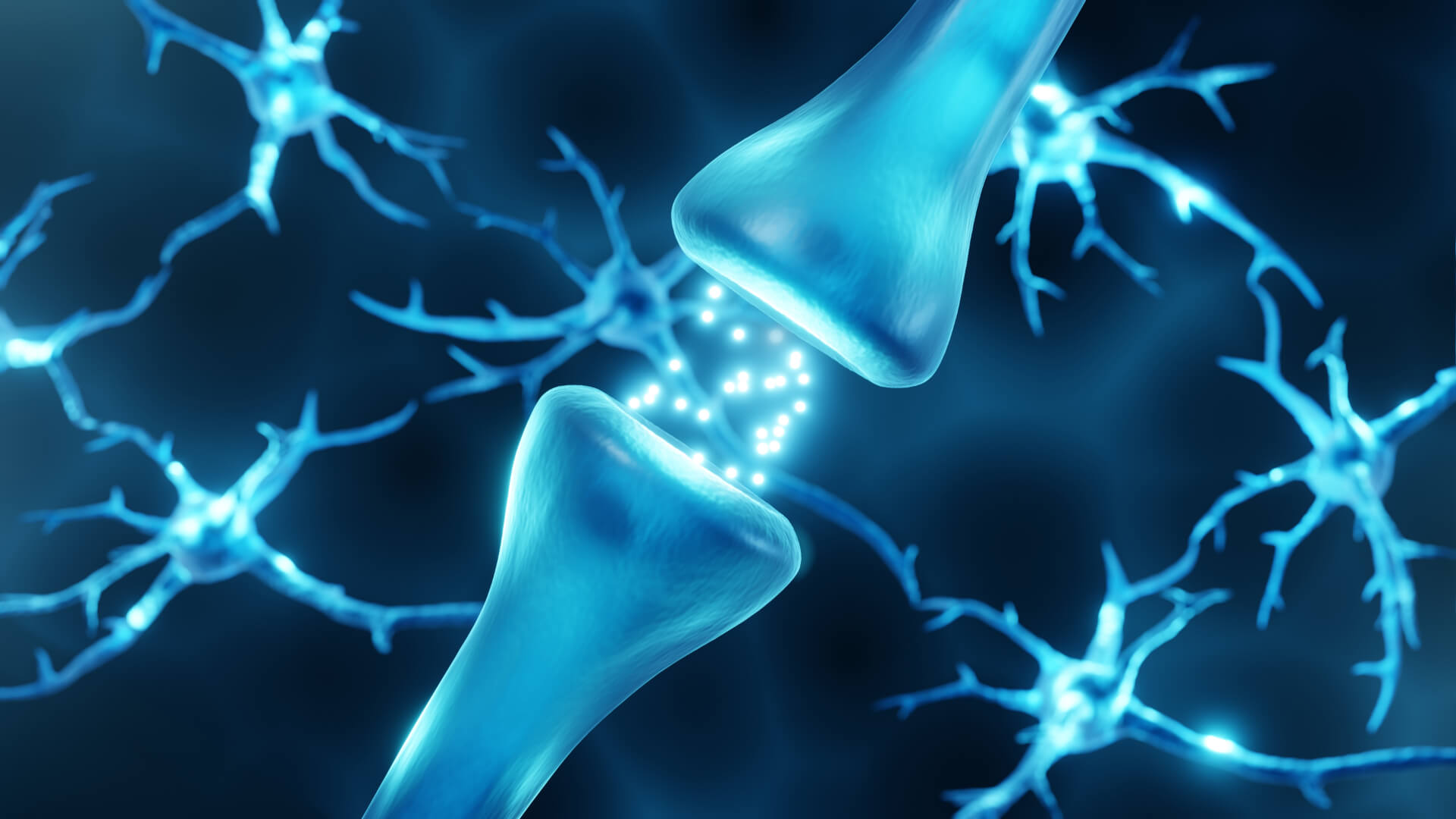 Changes in the brain occurring during neuroplasticity